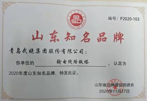 2020山東知名品牌-輸電線路鐵塔